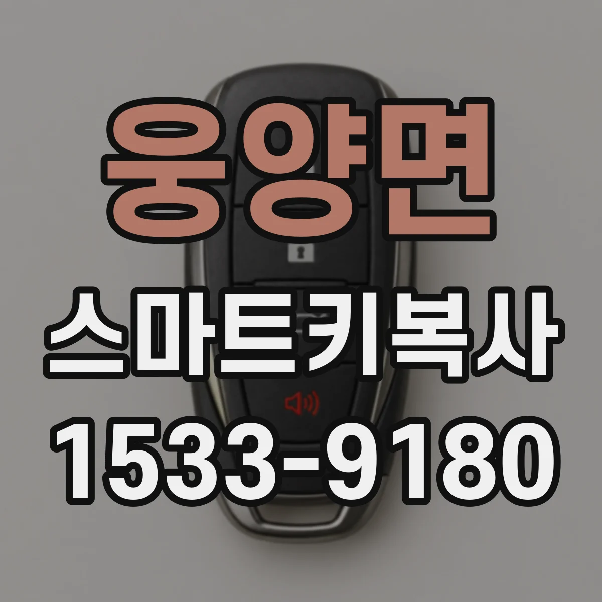 웅양면 스마트키복사