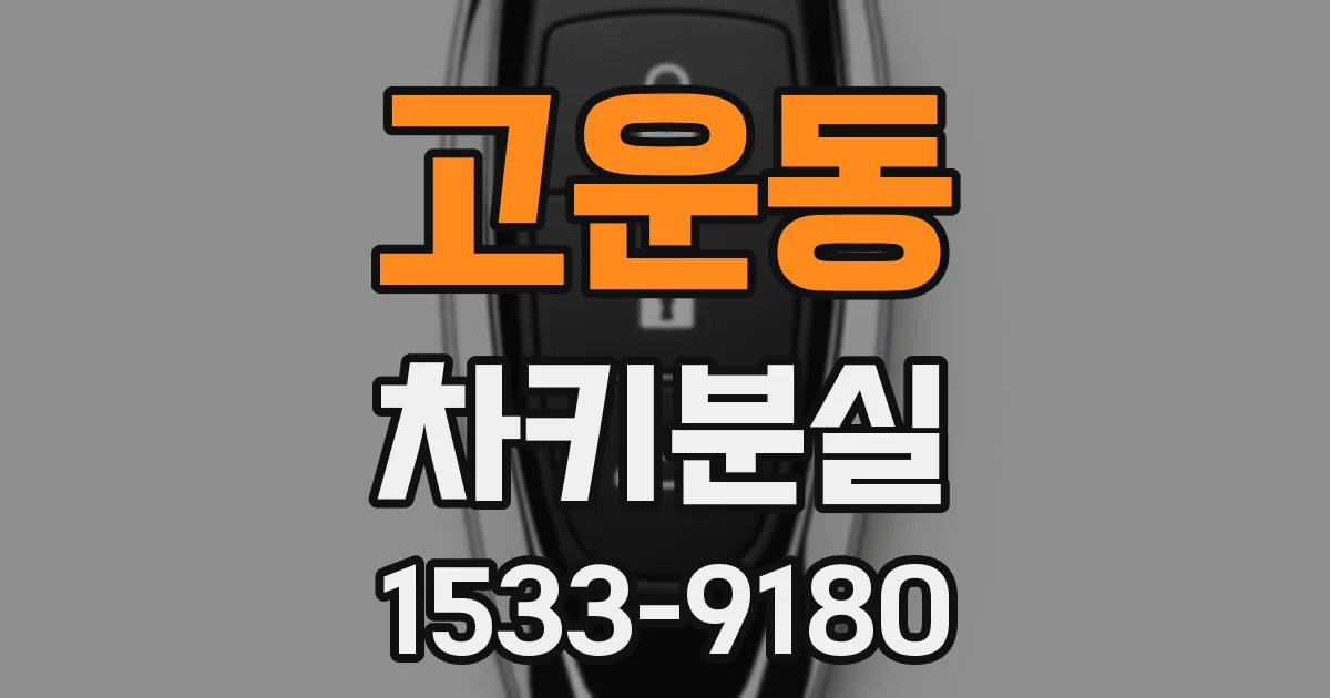 고운동 차키분실