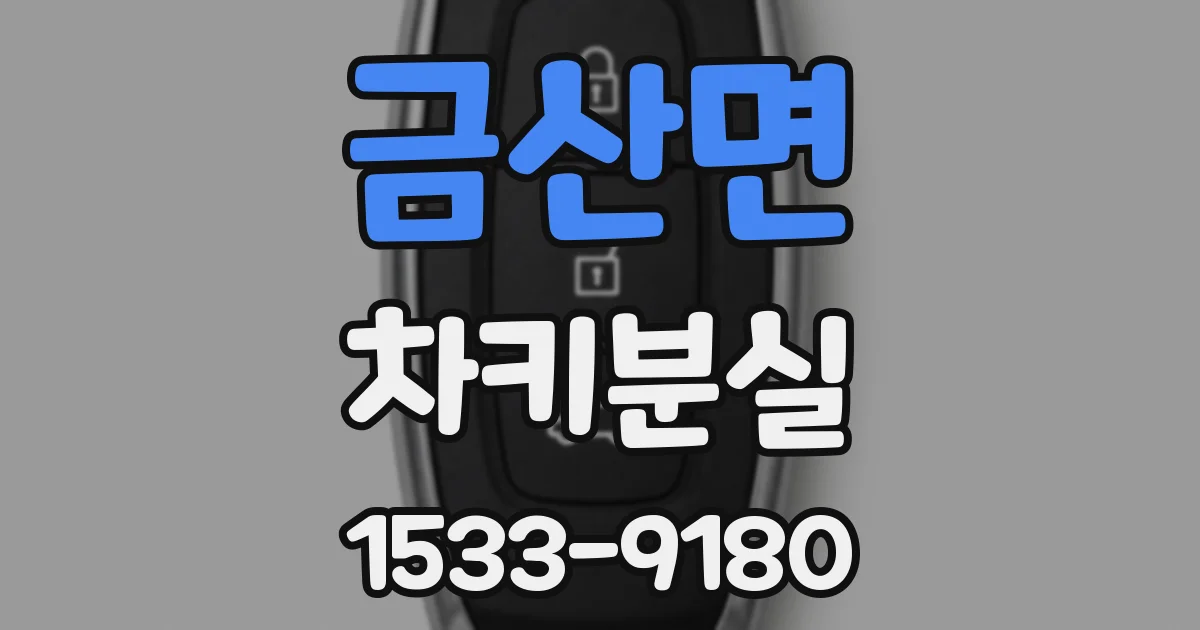 금산면 차키분실