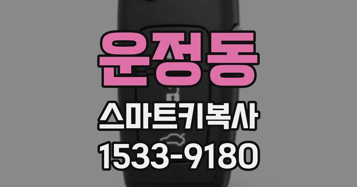 운정동 스마트키복사