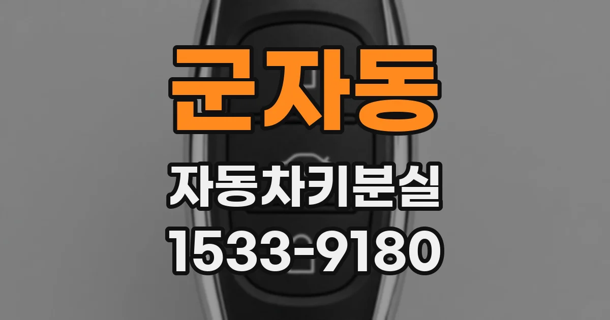 군자동 자동차키분실