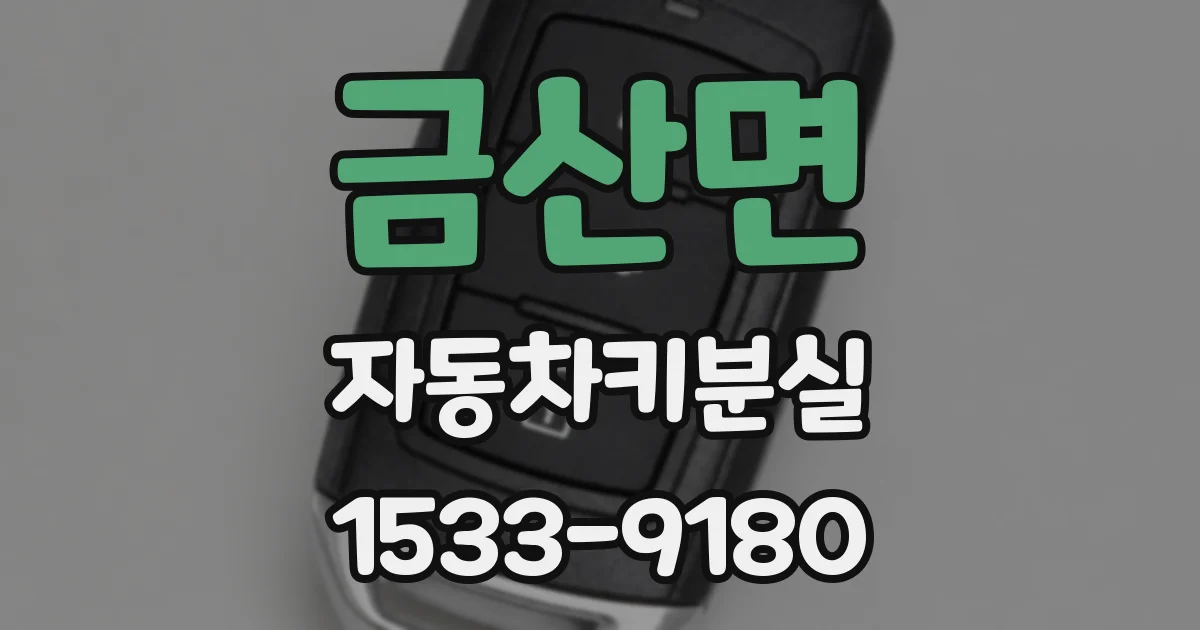 금산면 자동차키분실