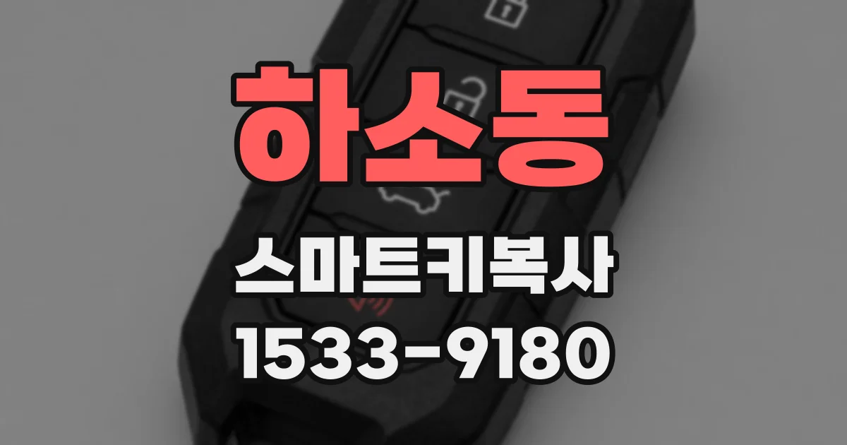 하소동 스마트키복사