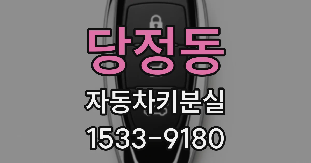 당정동 자동차키분실