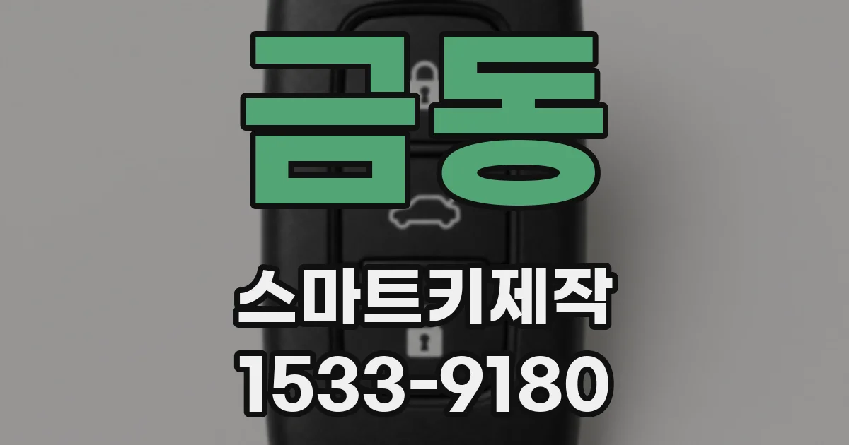 금동 스마트키제작