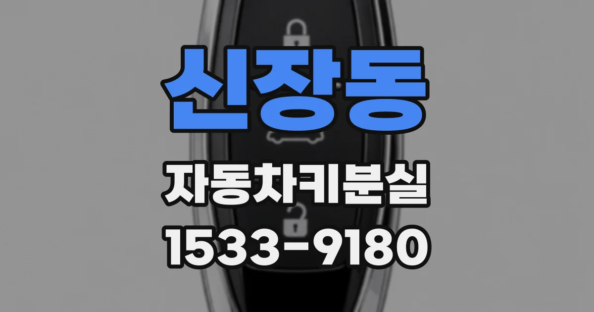 신장동 자동차키분실