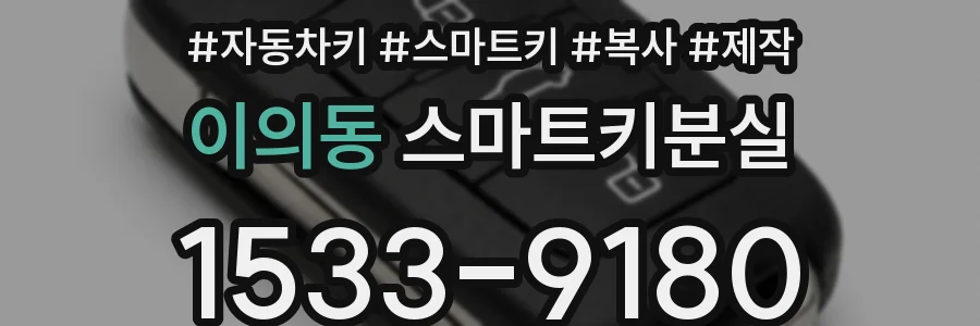 이의동 스마트키분실