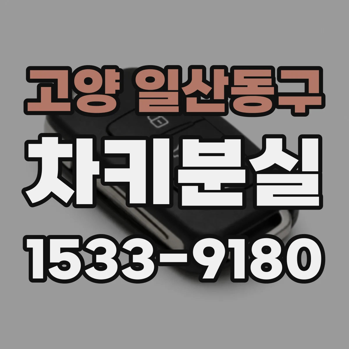 고양 일산동구 차키분실