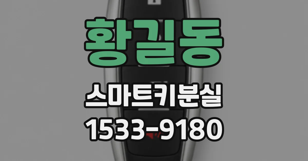 황길동 스마트키분실