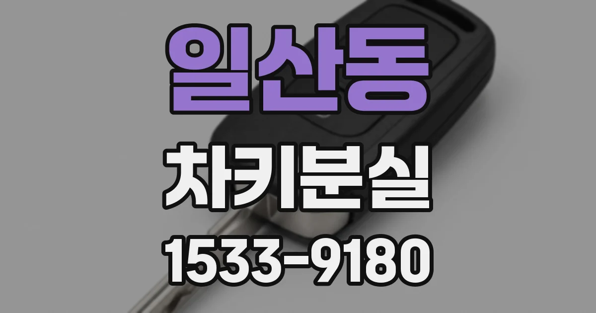 일산동 차키분실