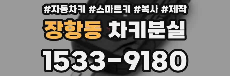 장항동 차키분실