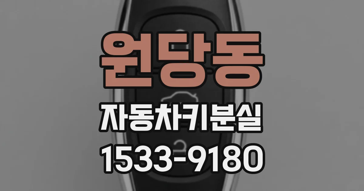 원당동 자동차키분실