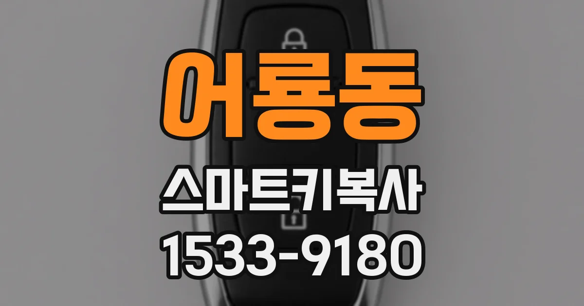 어룡동 스마트키복사