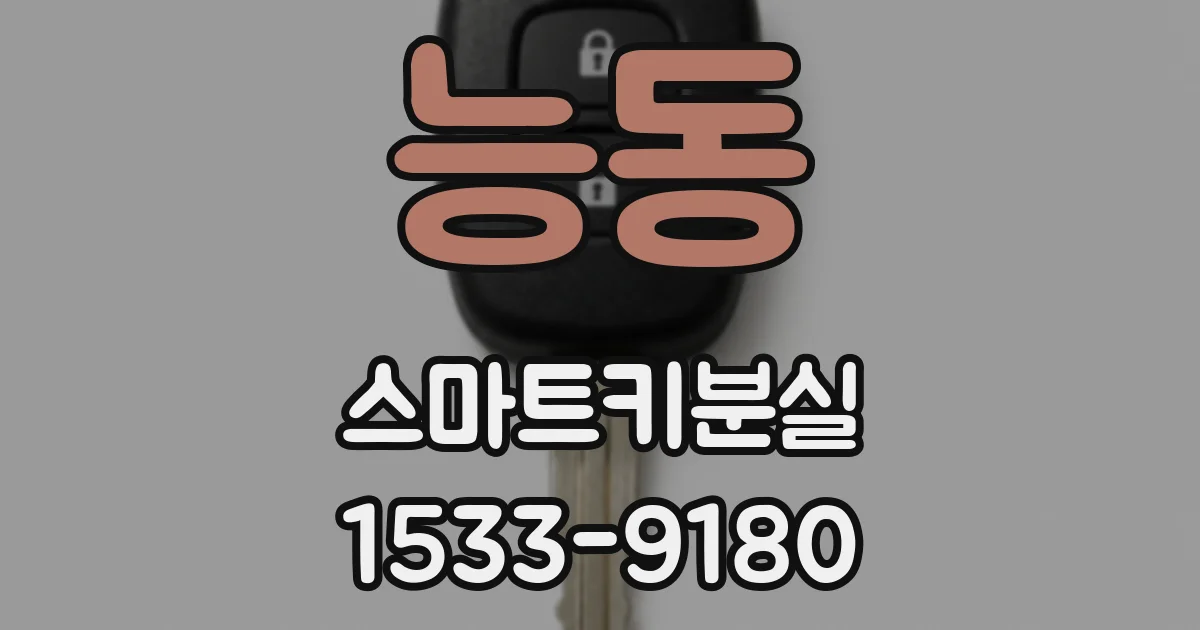 능동 스마트키분실