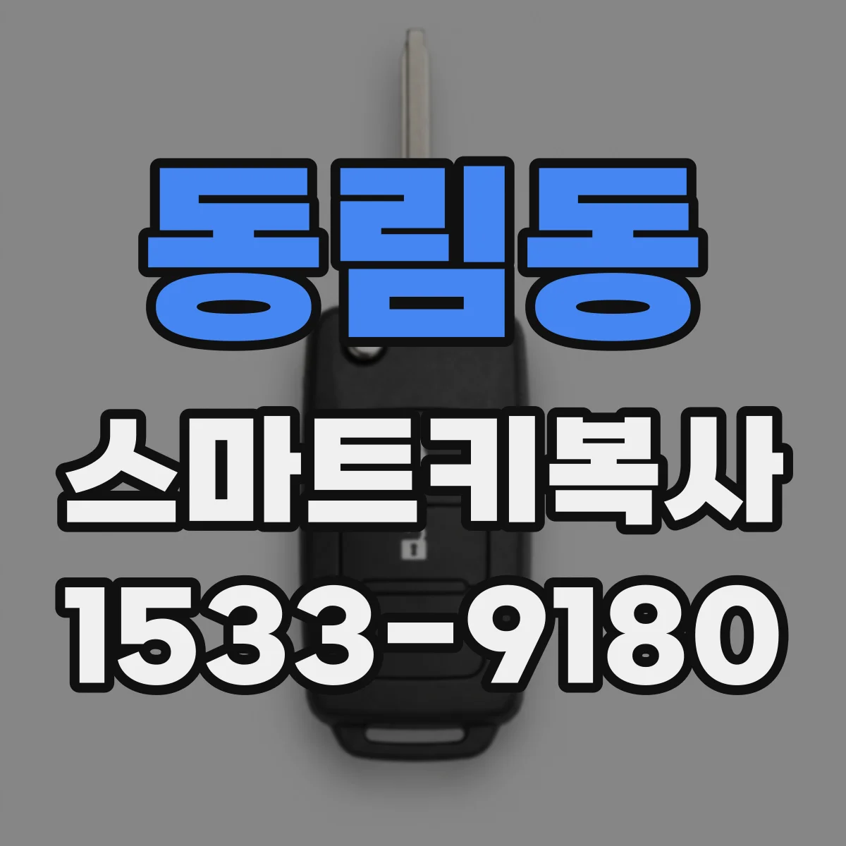 동림동 스마트키복사