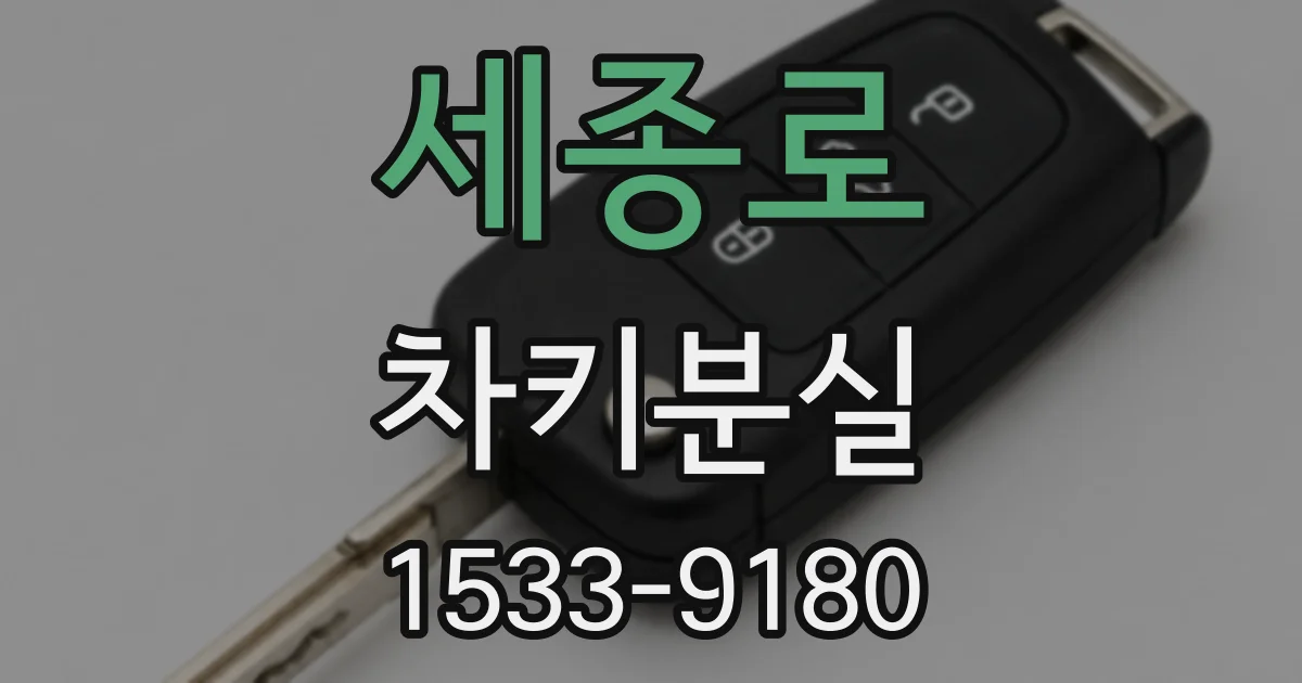 세종로 차키분실