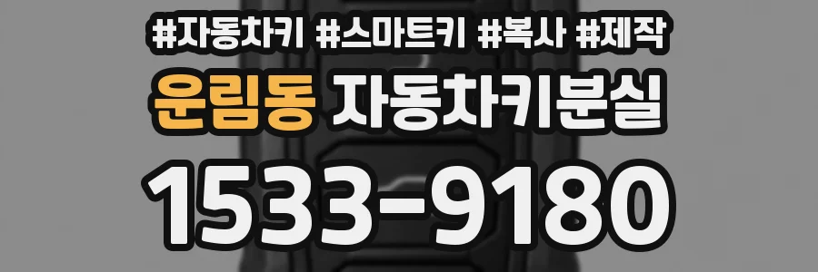 운림동 자동차키분실