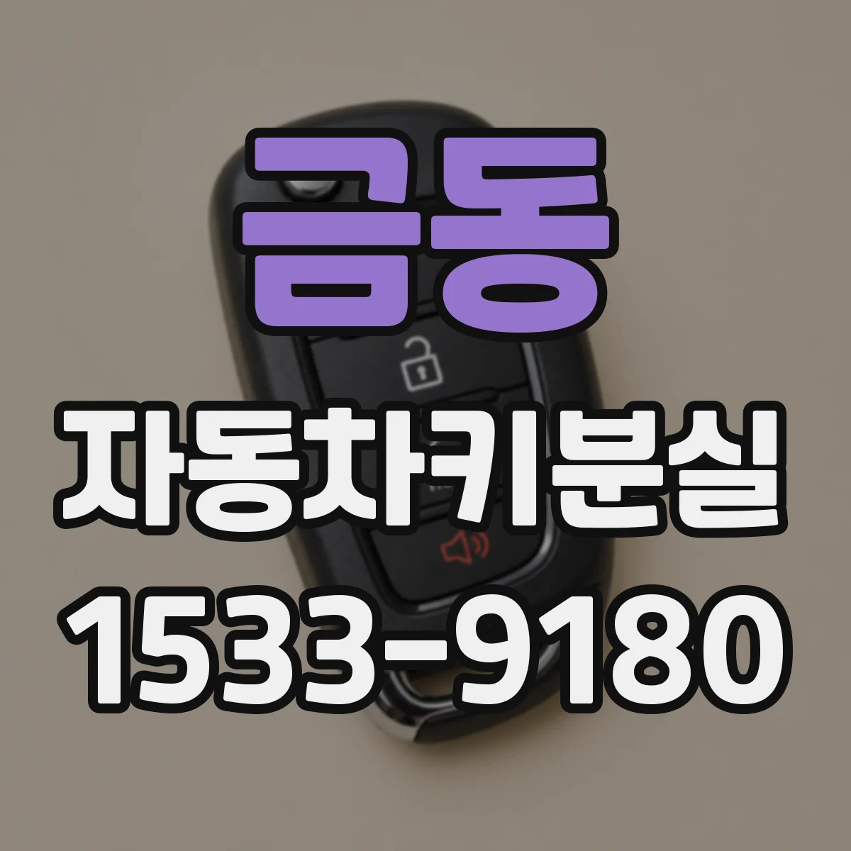 금동 자동차키분실