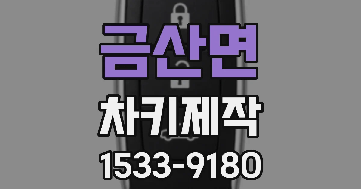 금산면 차키제작
