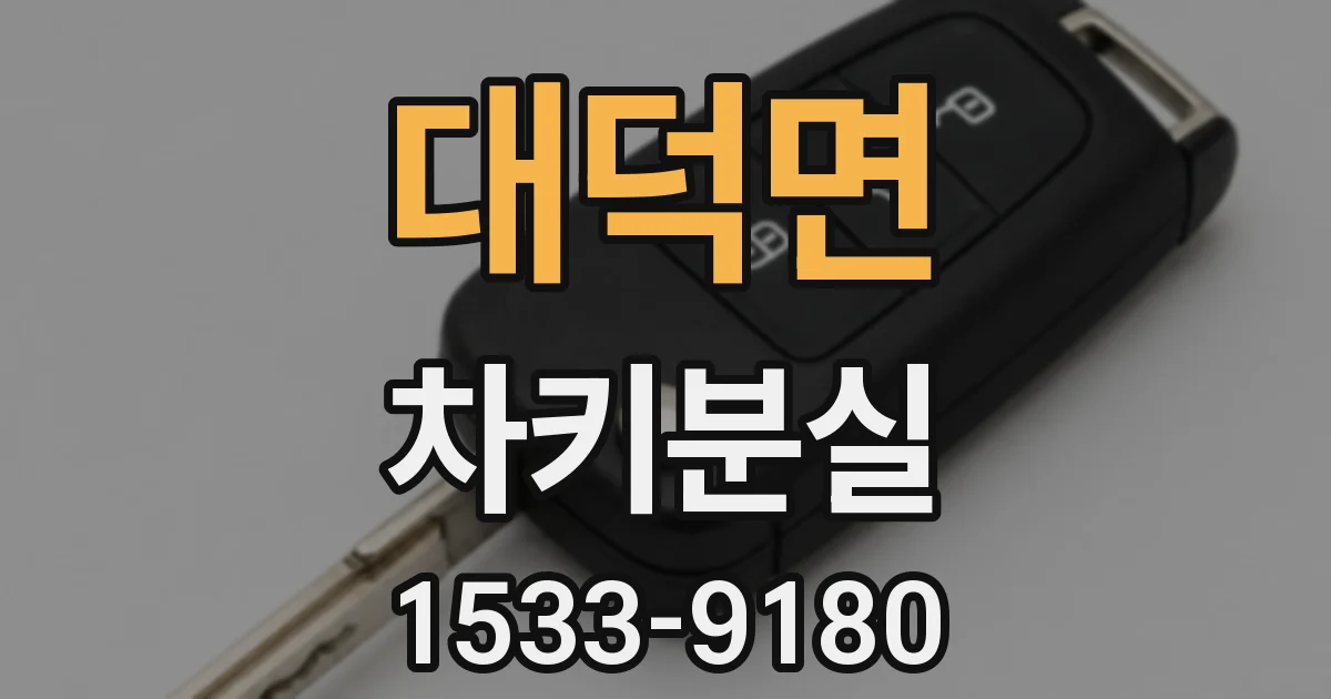 대덕면 차키분실