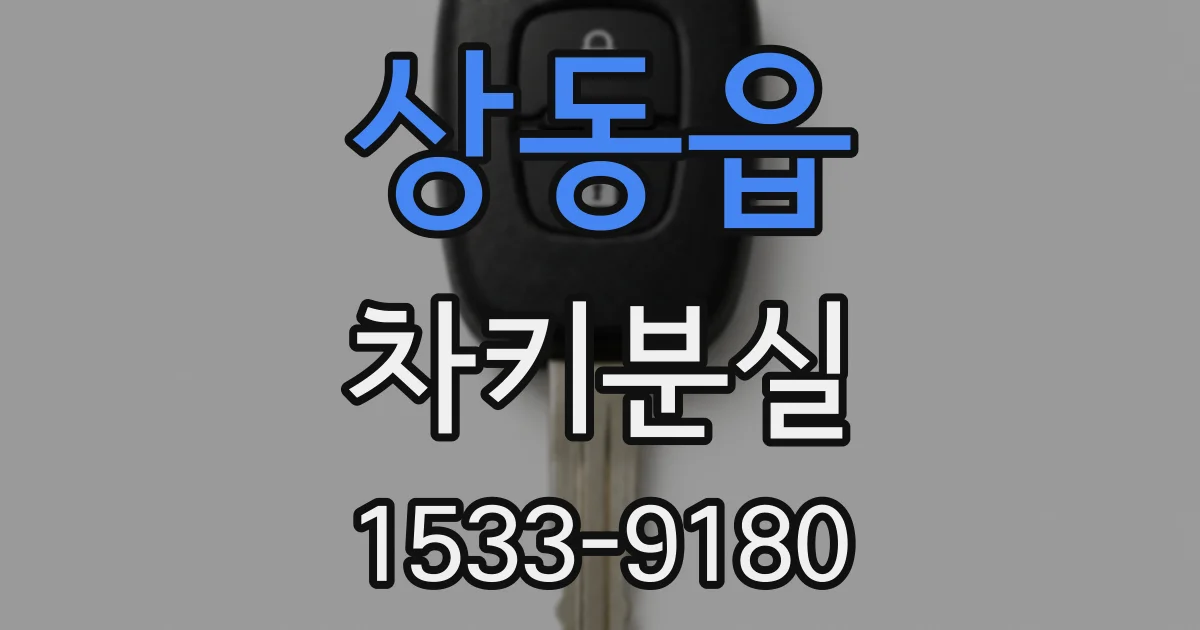 상동읍 차키분실
