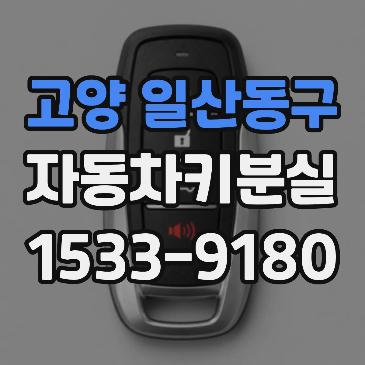 고양 일산동구 자동차키분실