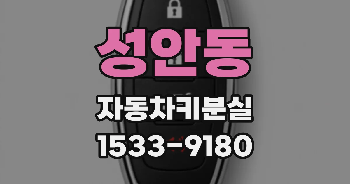 성안동 자동차키분실
