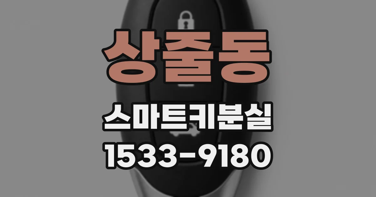 상줄동 스마트키분실