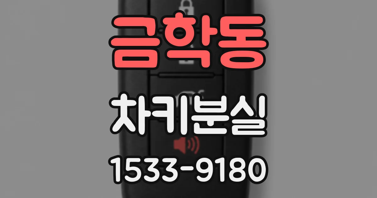 금학동 차키분실