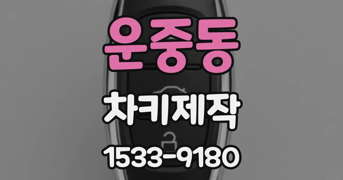 운중동 차키제작