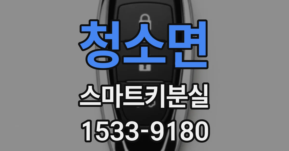 청소면 스마트키분실