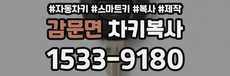 감문면 차키복사