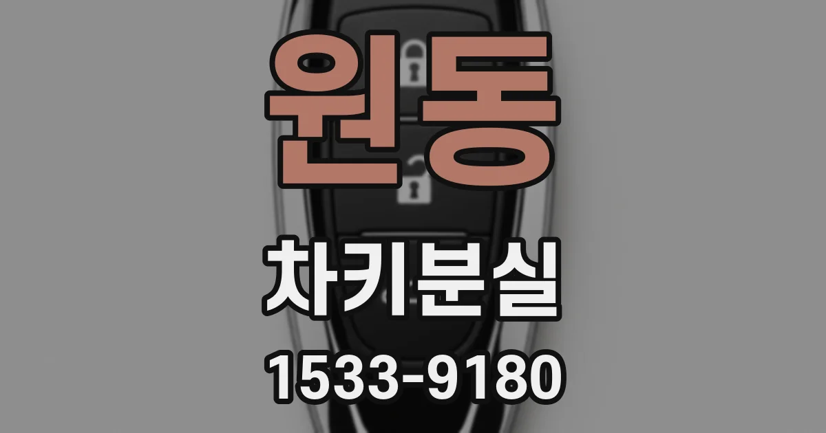 원동 차키분실