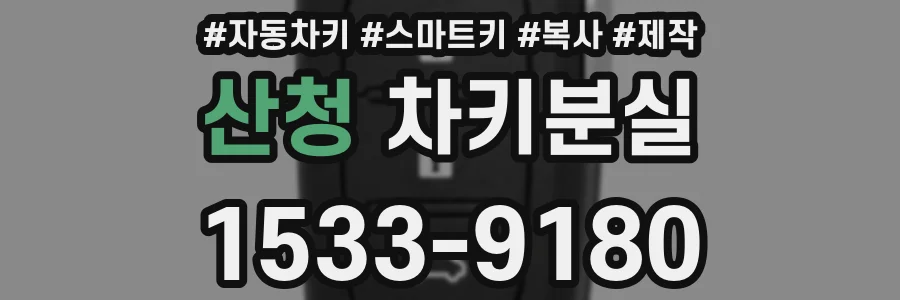 산청 차키분실