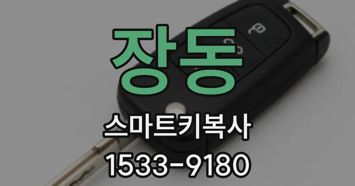 장동 스마트키복사