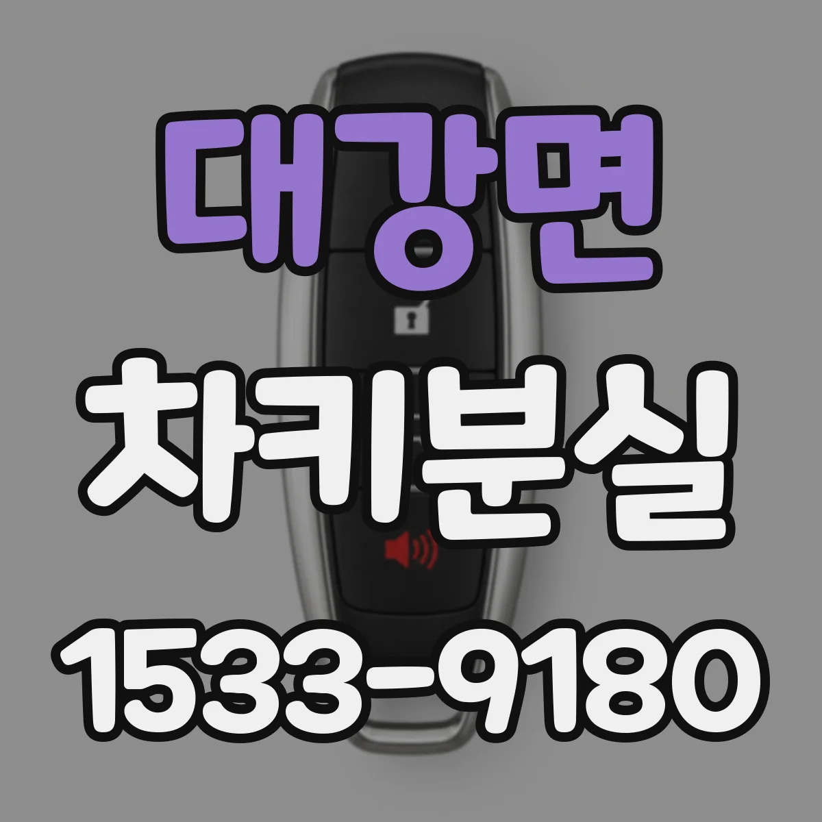 대강면 차키분실