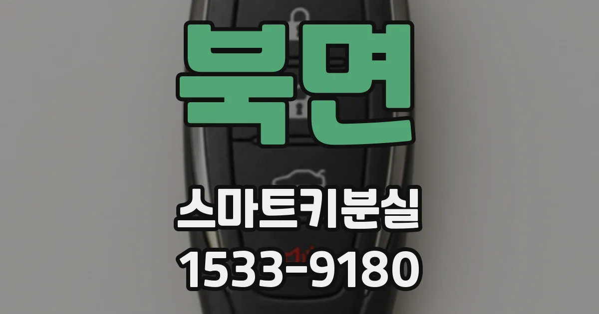 북면 스마트키분실