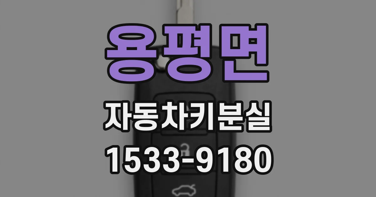 용평면 자동차키분실