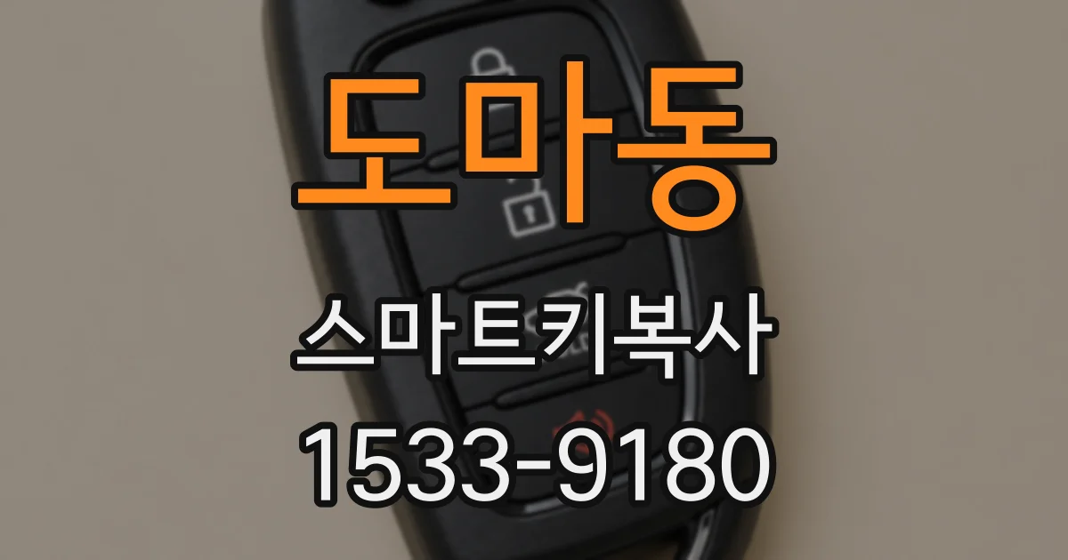 도마동 스마트키복사