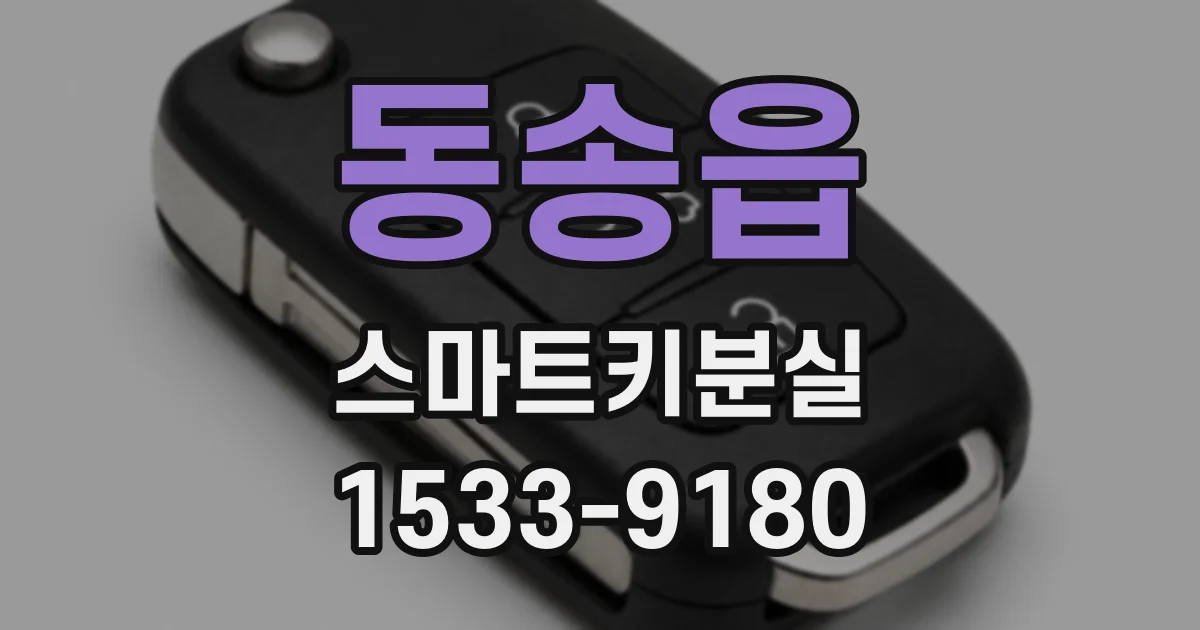 동송읍 스마트키분실