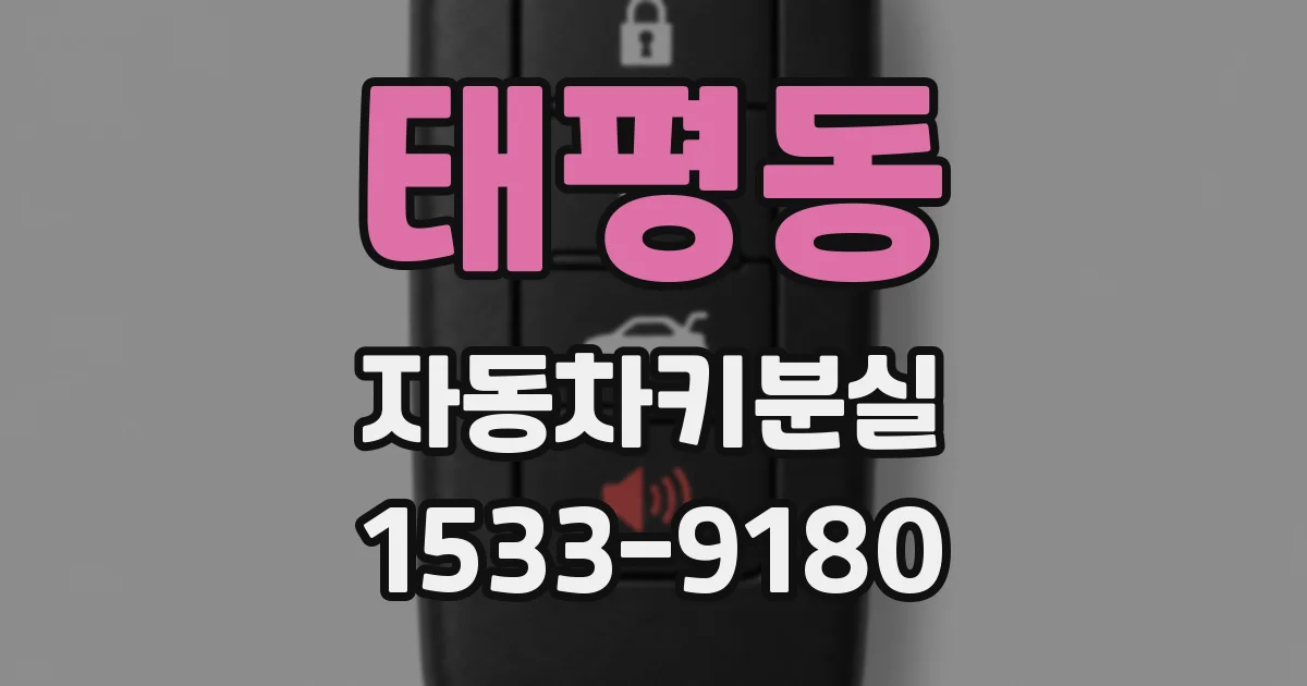 태평동 자동차키분실