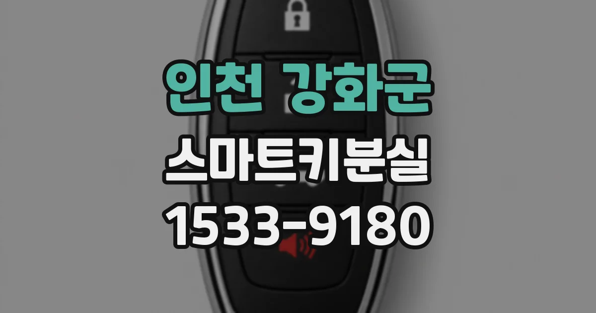 인천 강화군 스마트키분실