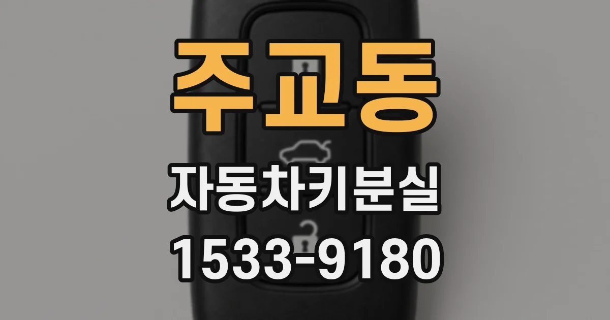 주교동 자동차키분실