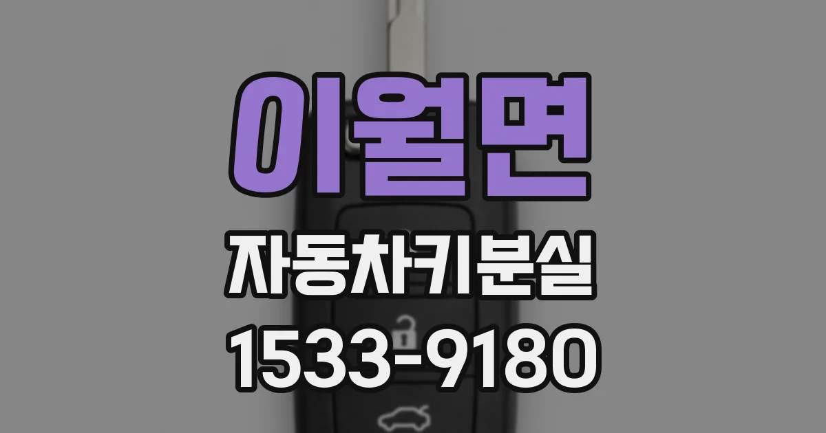 이월면 자동차키분실