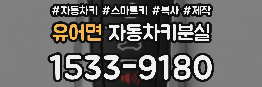 유어면 자동차키분실