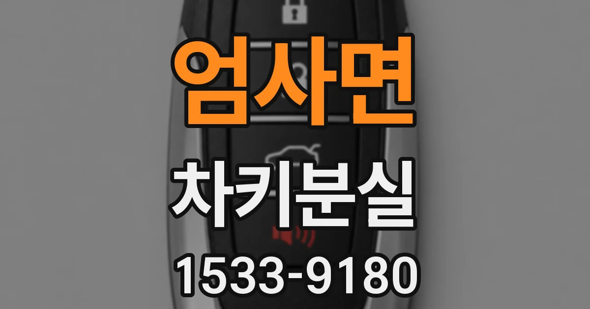 엄사면 차키분실