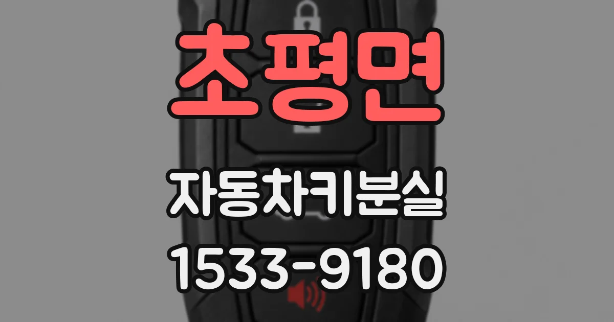 초평면 자동차키분실
