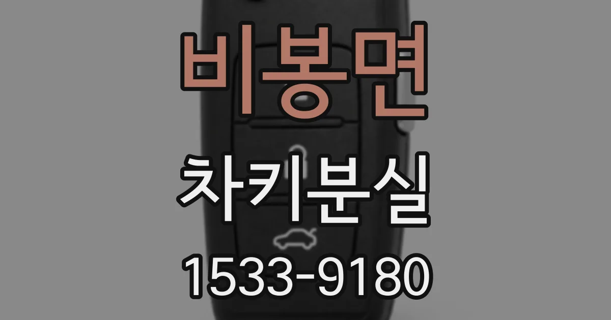 비봉면 차키분실