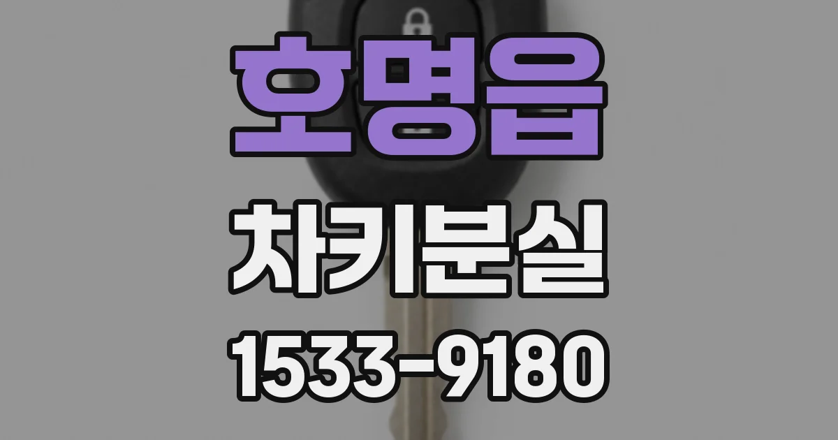 호명읍 차키분실