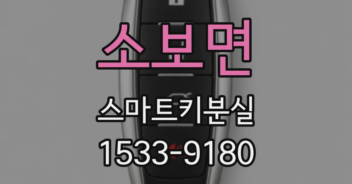 소보면 스마트키분실